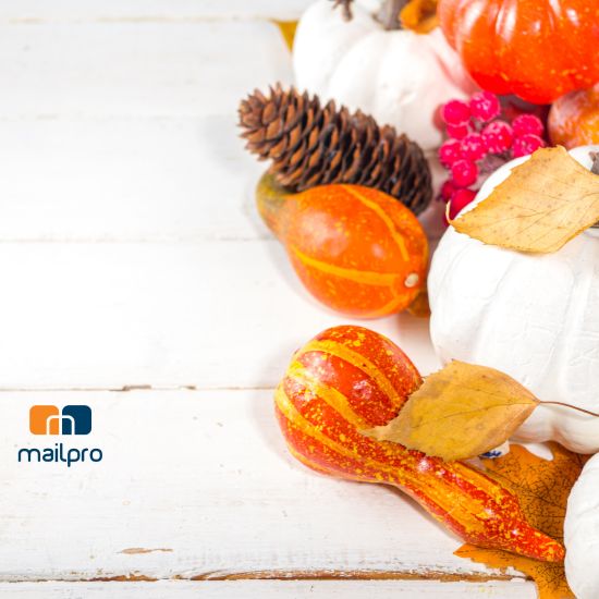 Thanksgiving Email Campaigns: Strategy, Examples, and Templates to Drive Holiday Revenue