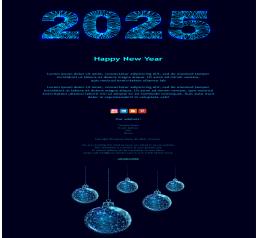 New Year 2025 06