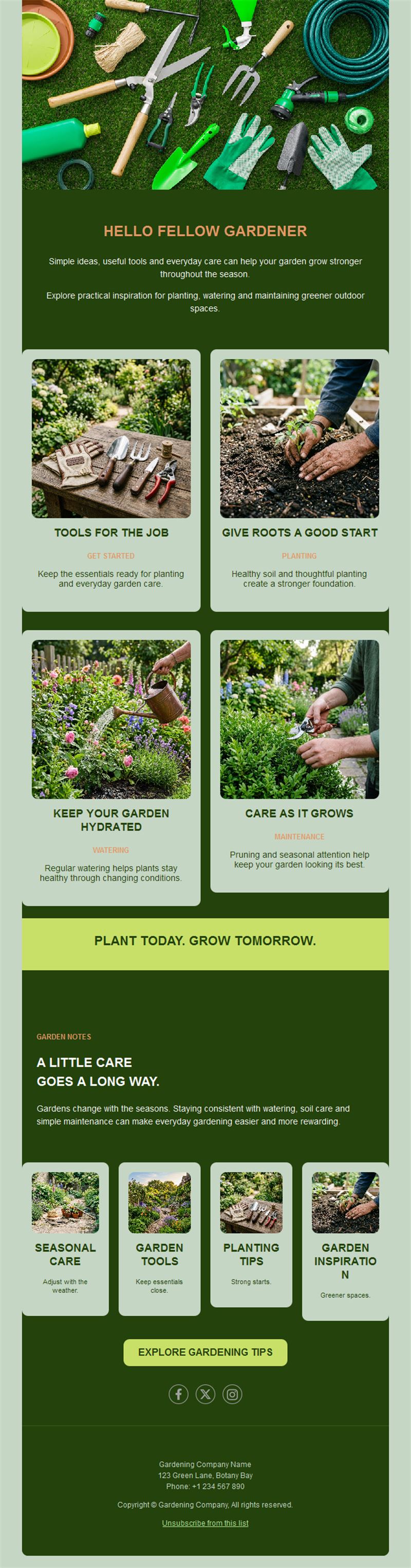 Garden care guide newsletter template