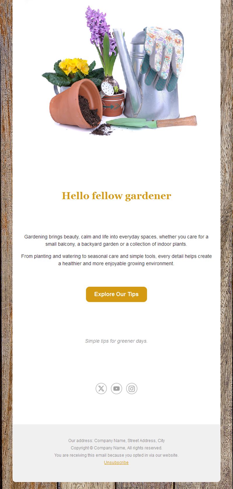 Gardening tips email with garden tools