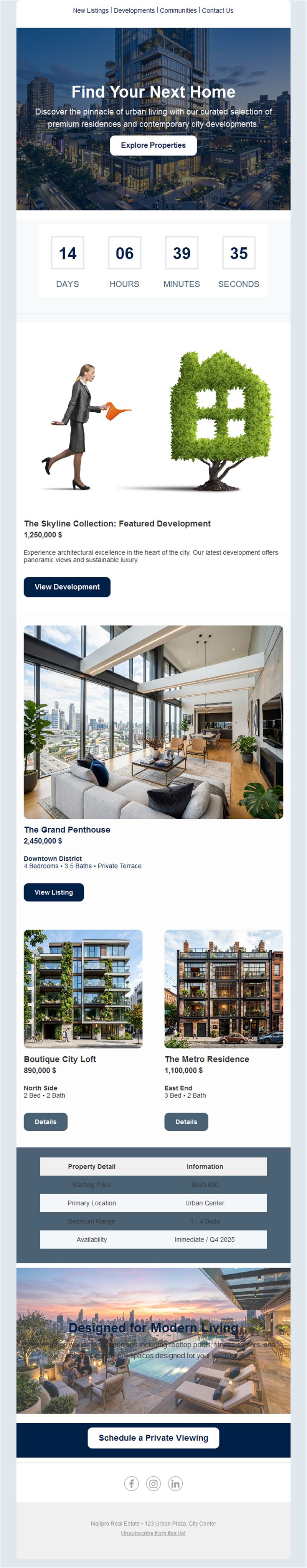 New development real estate email