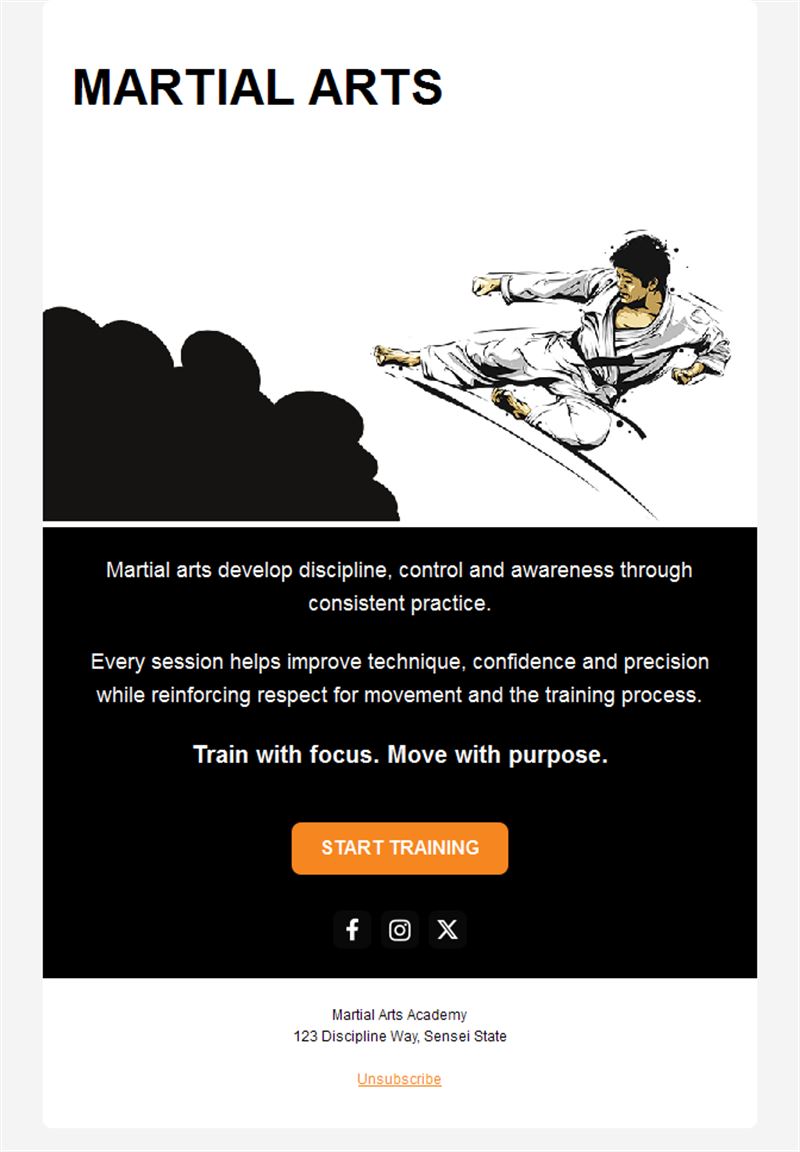 Illustrated martial arts email