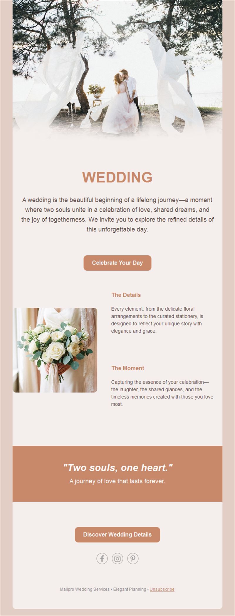 Elegant terracotta wedding email