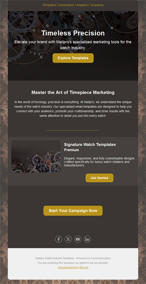 Dark gold watch marketing email