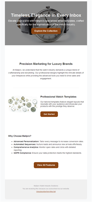 Watch brand email marketing showcase