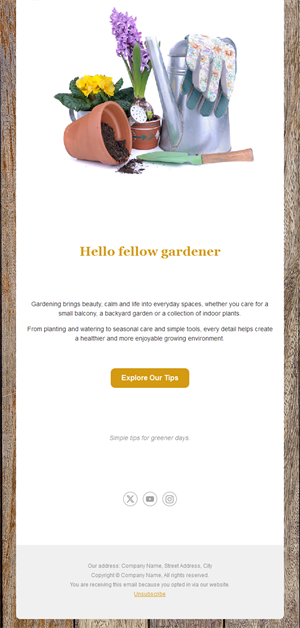 Gardening tips email with garden tools