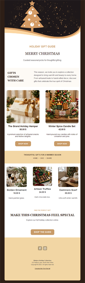 Christmas holiday gift guide newsletter