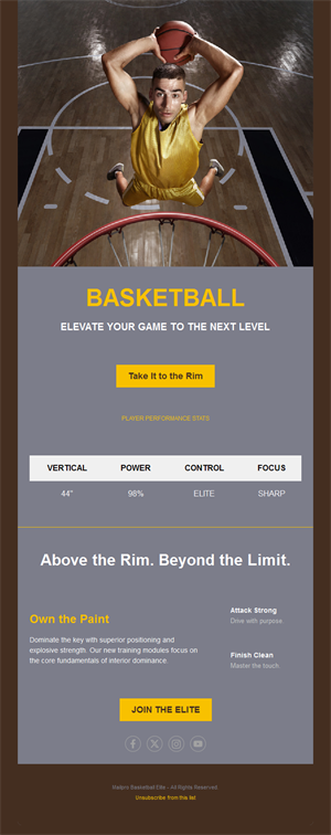 Elite basketball program email template