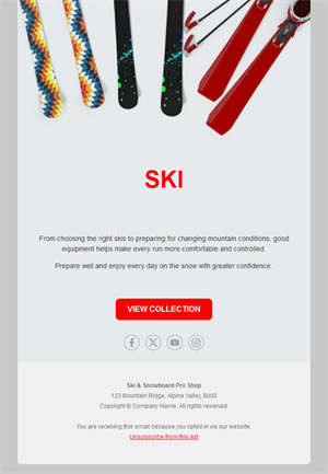 Ski shop collection email template