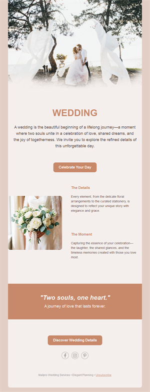 Elegant terracotta wedding email